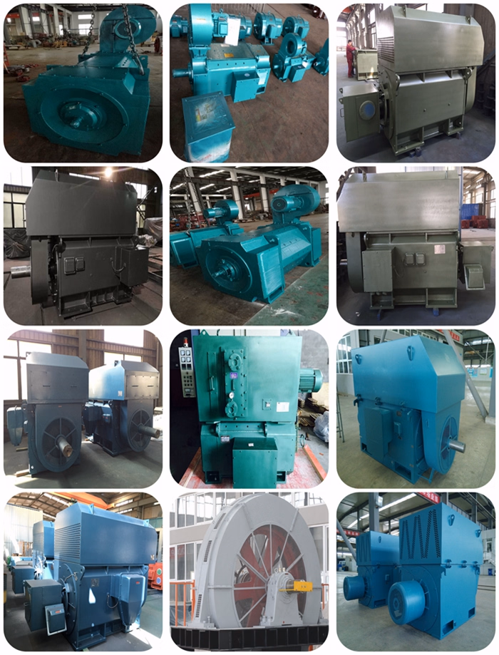 Low Voltage AC DC Motor