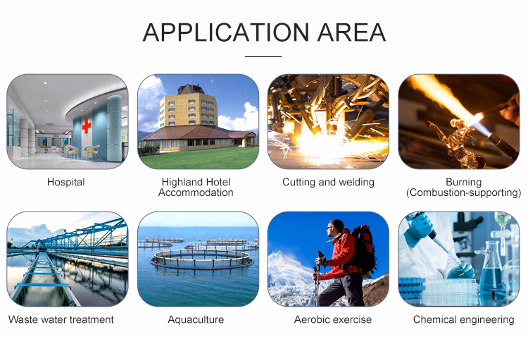 Air Separation Plant Medical Gas Equipments Psa Oxygen Generator (ISO/CE/SGS/ASME)