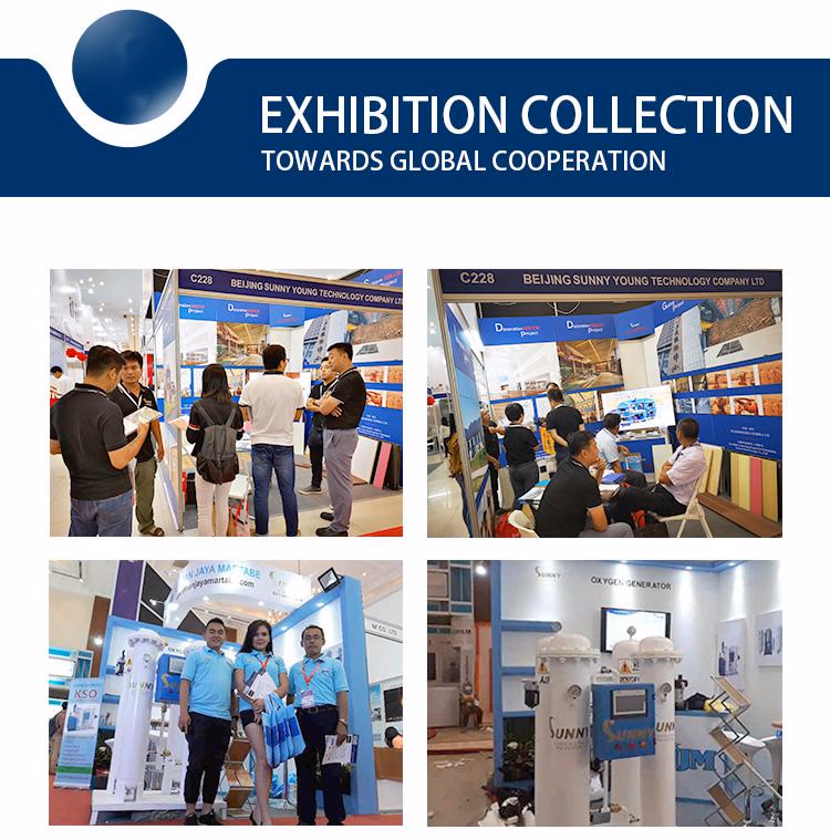 Integrated Skid-Mount 10nm3/H Air Separation Plant Psa Oxygen Generator Gas Generator