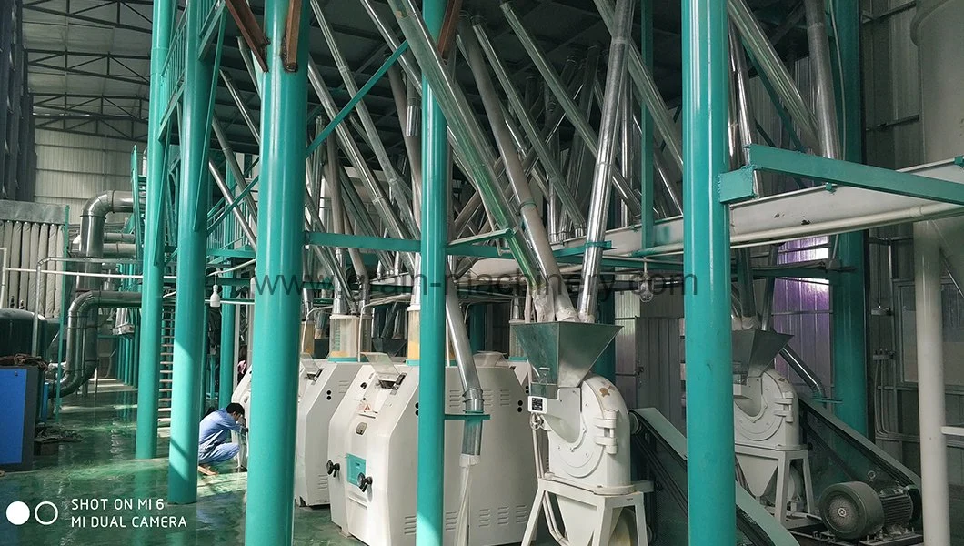 Newest Type Flour Mill Machinery Maize Flour Milling Machine Price