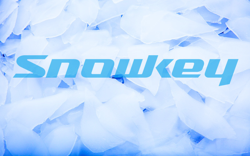 Hot-Selling Snowkey Flake Ice Machine with Excellent Quality