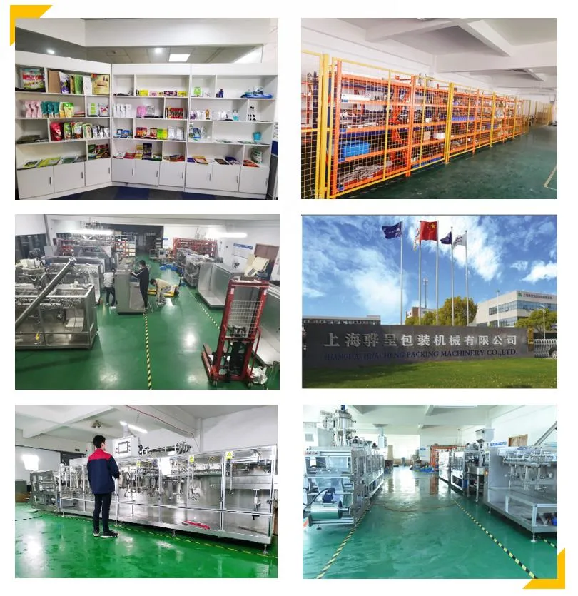 Top Quality Automatic Hffs Doypack Packing Machine for Powder/Dry Fruit Vegetable High Quality