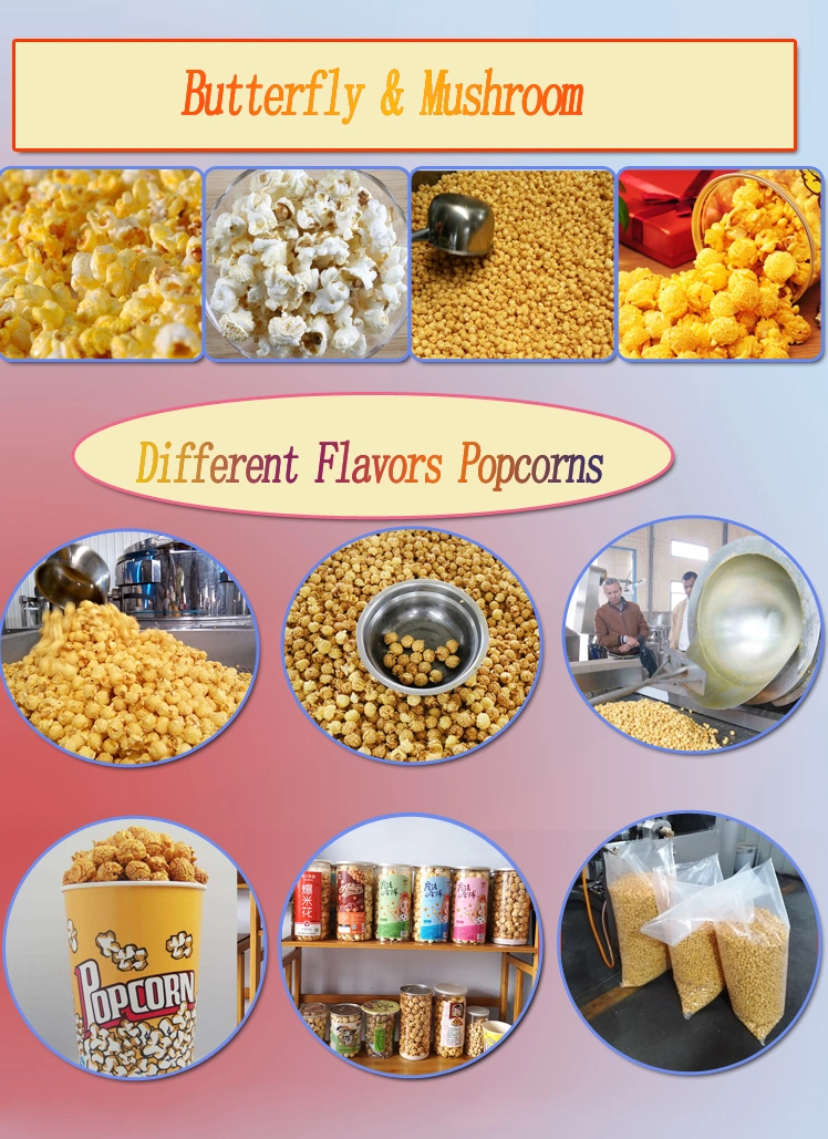 Factory Price Industrial Popcorn Machine Price Popcorn Machine Gas Heating Approved by Ce Certificate
