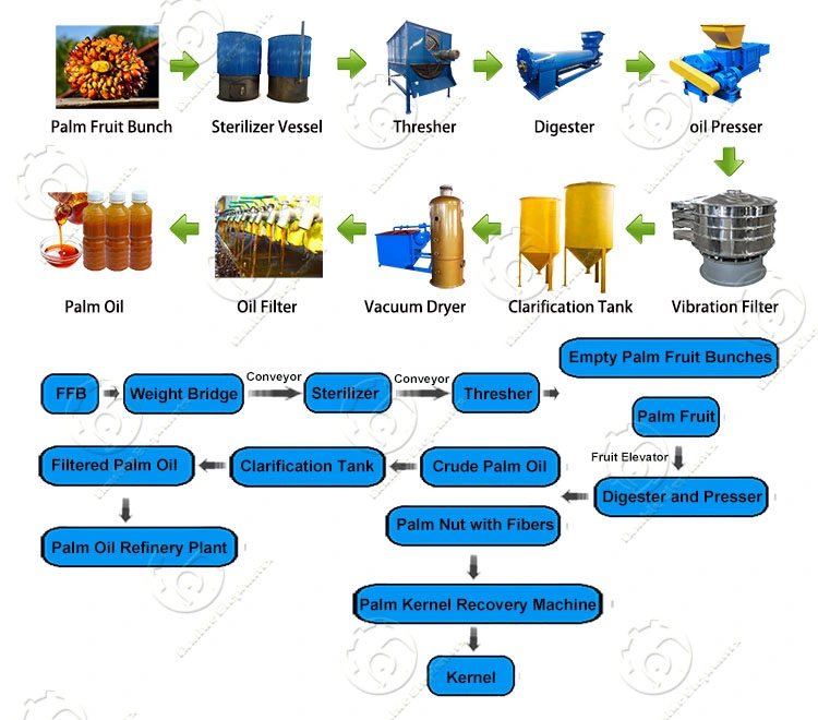 Palm Oil Fractionation Machinery Malaysia Gold Supplier Oil Palm Extraction Machinery Press Machine/Capacity 25t /Day