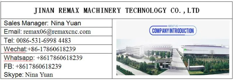 CNC Flame/Plasma Cutting Machine Type Plasma Gantry for Copper/Carbon