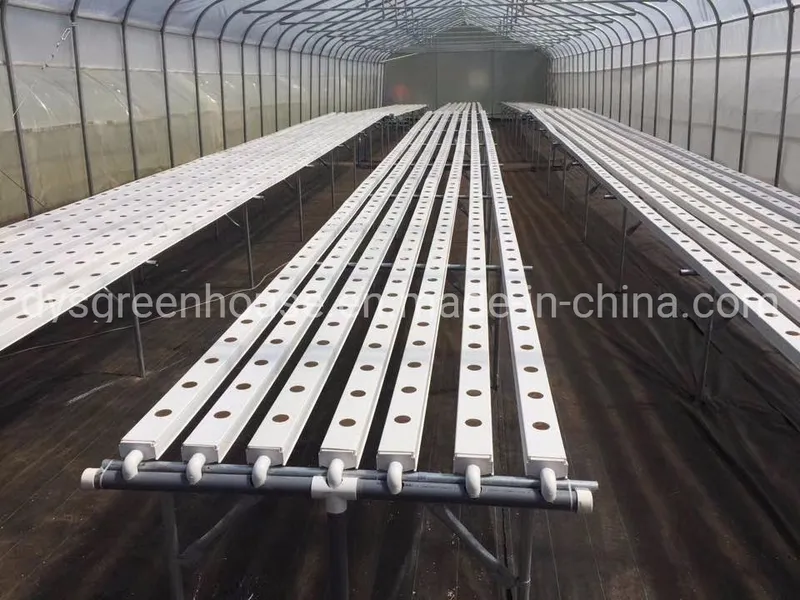 Low Cost Greenhouse/PE Plastic Film Poly House Agriculture Greenhouse