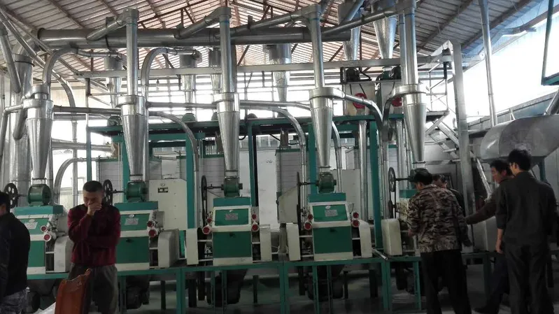 Small Scale Maize Milling Machine for Africa Market (10-30ton)