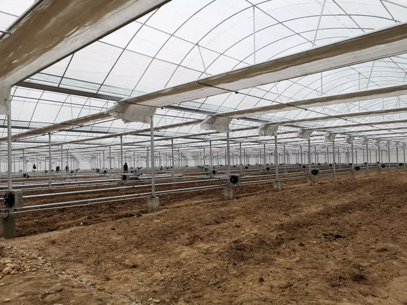 Low Cost Commercial Plastic Cucumber Film Tunnel Greenhouse with Hydroponic