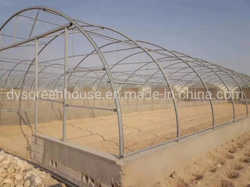 Low Cost Greenhouse/PE Plastic Film Poly House Agriculture Greenhouse