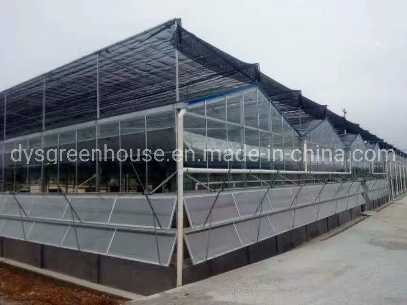 Low Cost Greenhouse/PE Plastic Film Poly House Agriculture Greenhouse