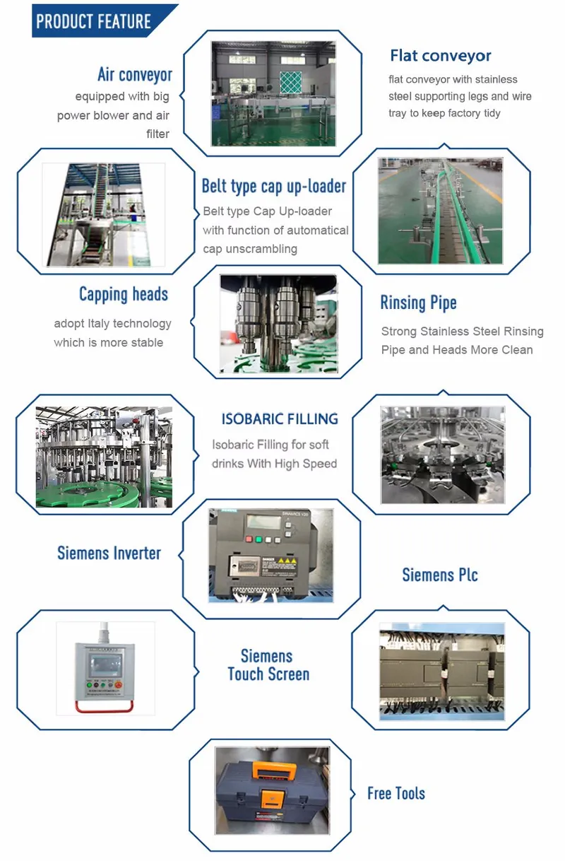 Small Scale Plastic Bottled Carbonated Beverage Filling Capping Machine