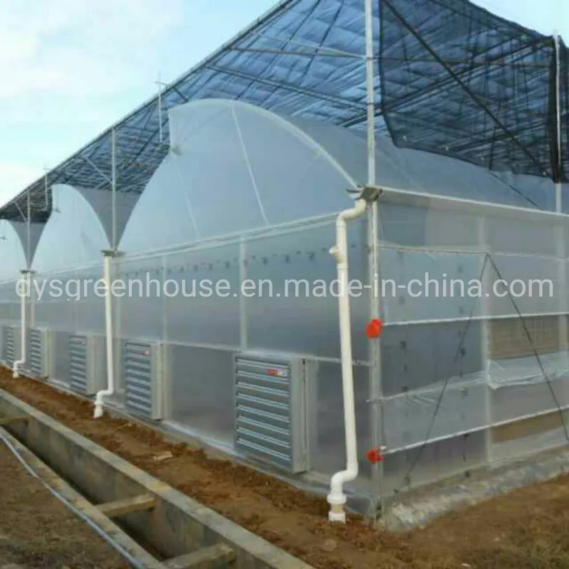 Low Cost Greenhouse/PE Plastic Film Poly House Agriculture Greenhouse