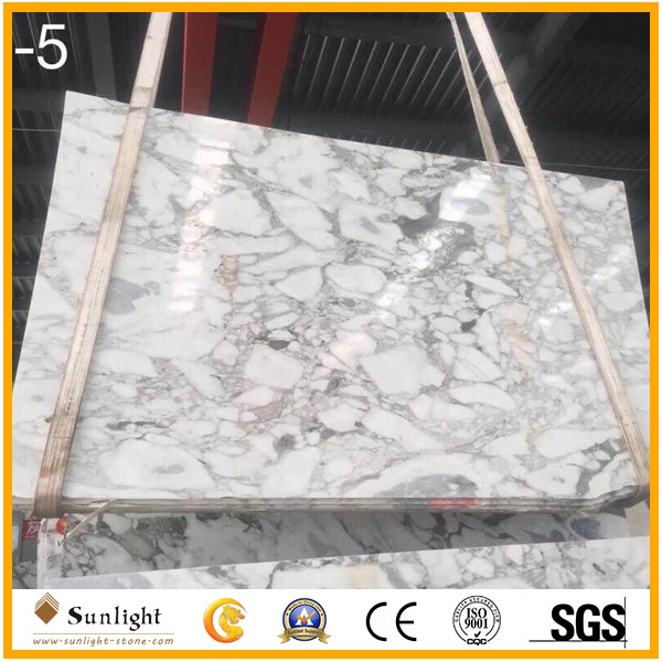 China Cheap Arabescato White Marble, Marble Tiles and Marble Slabs