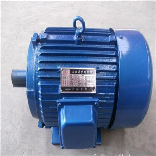 Three Phase High Efficient Asynchronous Industry Motor AC Motor From Daisy