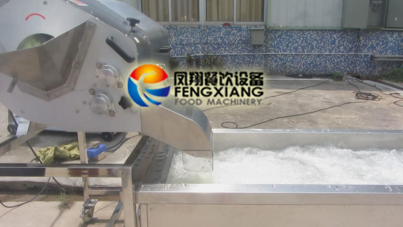 Cdwa-1500 Automatic Lettuce Iceberg Dicing Washing Production Line