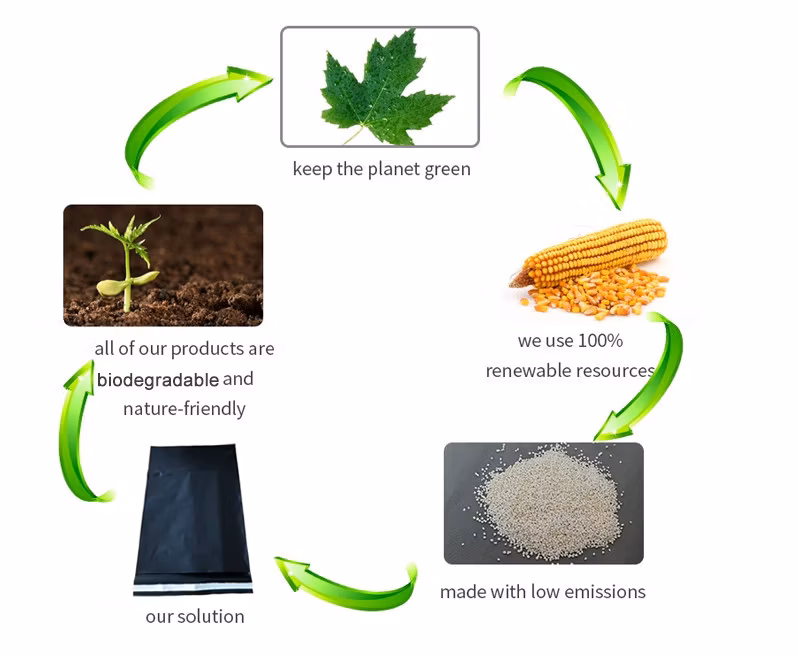 Cornstarch Plastic Express Compostable Eco Friendly Postage Biodegradable Mailing Bags
