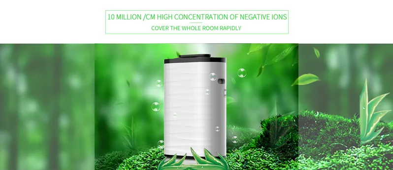 Whole House Air Purifier and Humidifier Filter Cleaner