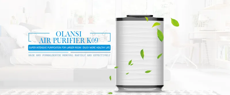 Whole House Air Purifier and Humidifier Filter Cleaner