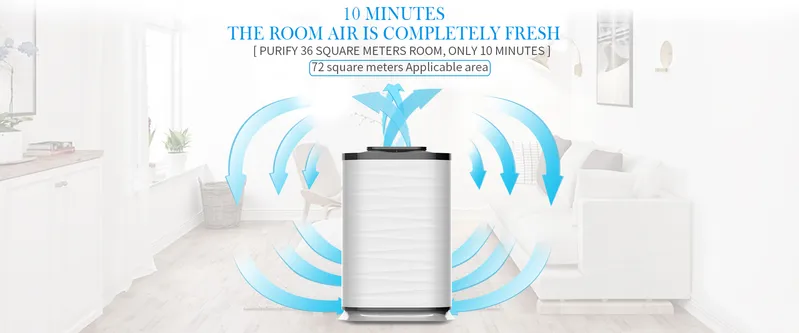 Whole House Air Purifier and Humidifier Filter Cleaner