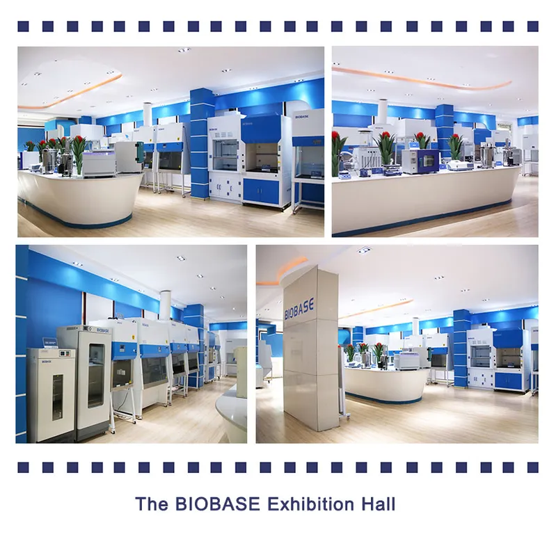 Biobase Hot Air Sterilizer for Small Surgical Instrument