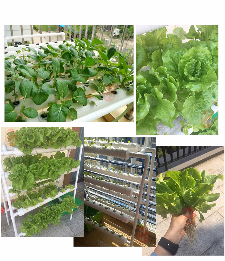 Indoor Garden Hydroponic Grow System