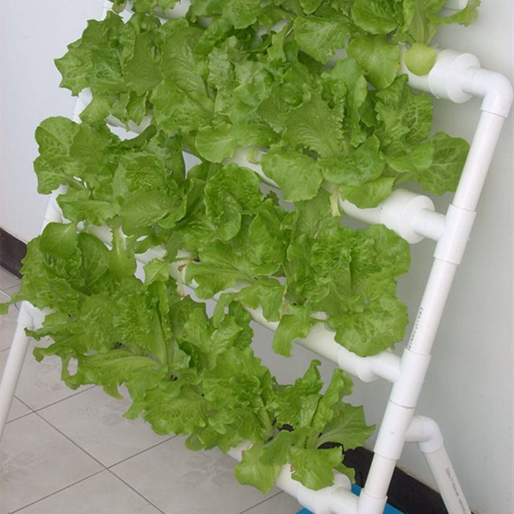 Indoor Garden Hydroponic Grow System