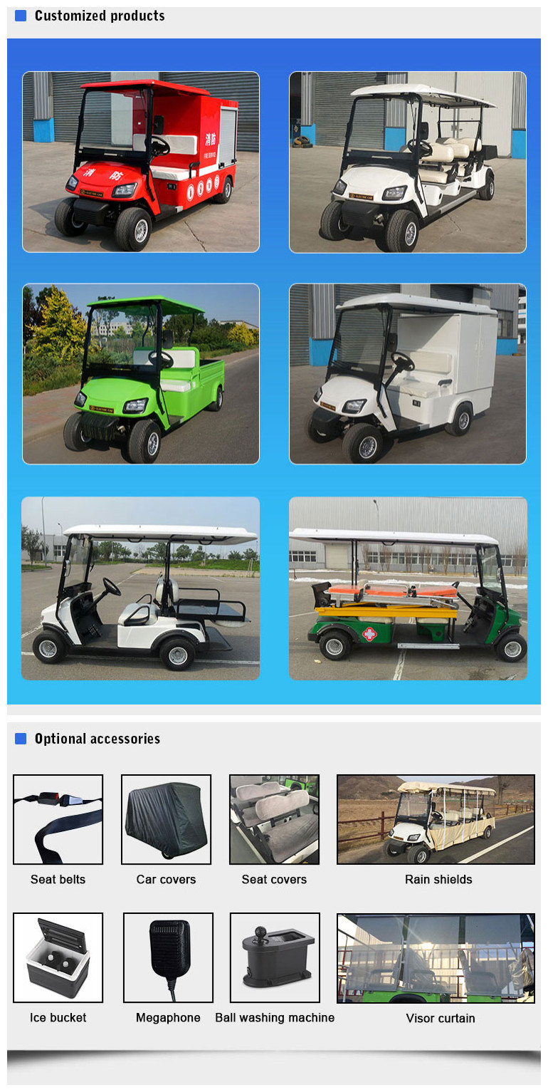 Zhongyi Modified Electric Mini Wheelchair Car