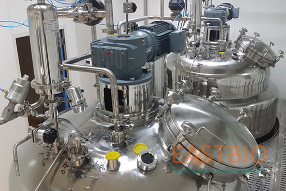 Turnkey Contractor Project Running Fermentation Tank Base