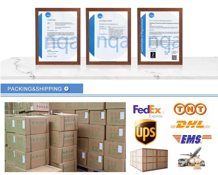 High Quality for Hospital Treatment Patient Examination ABS Bed Board Hospital Bed Prices Nursing Bed