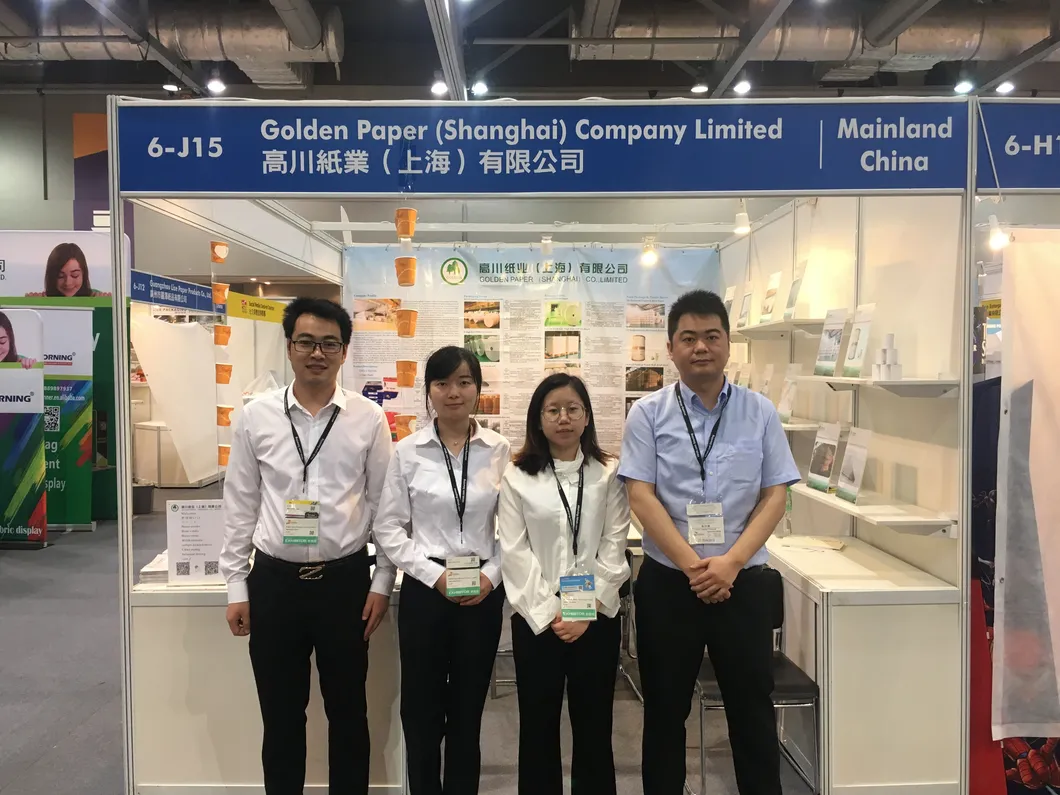 250/300/350GSM Folding Box Board/C1s Fbb/Ivory Board