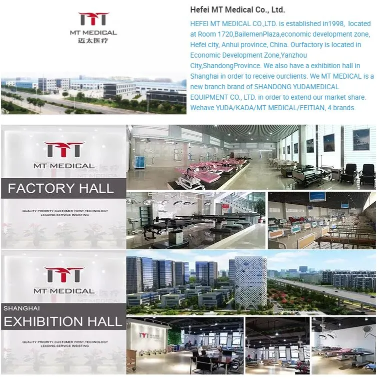 Factory Direct Supply Manual Hospital Bed for Paralyzed Patients