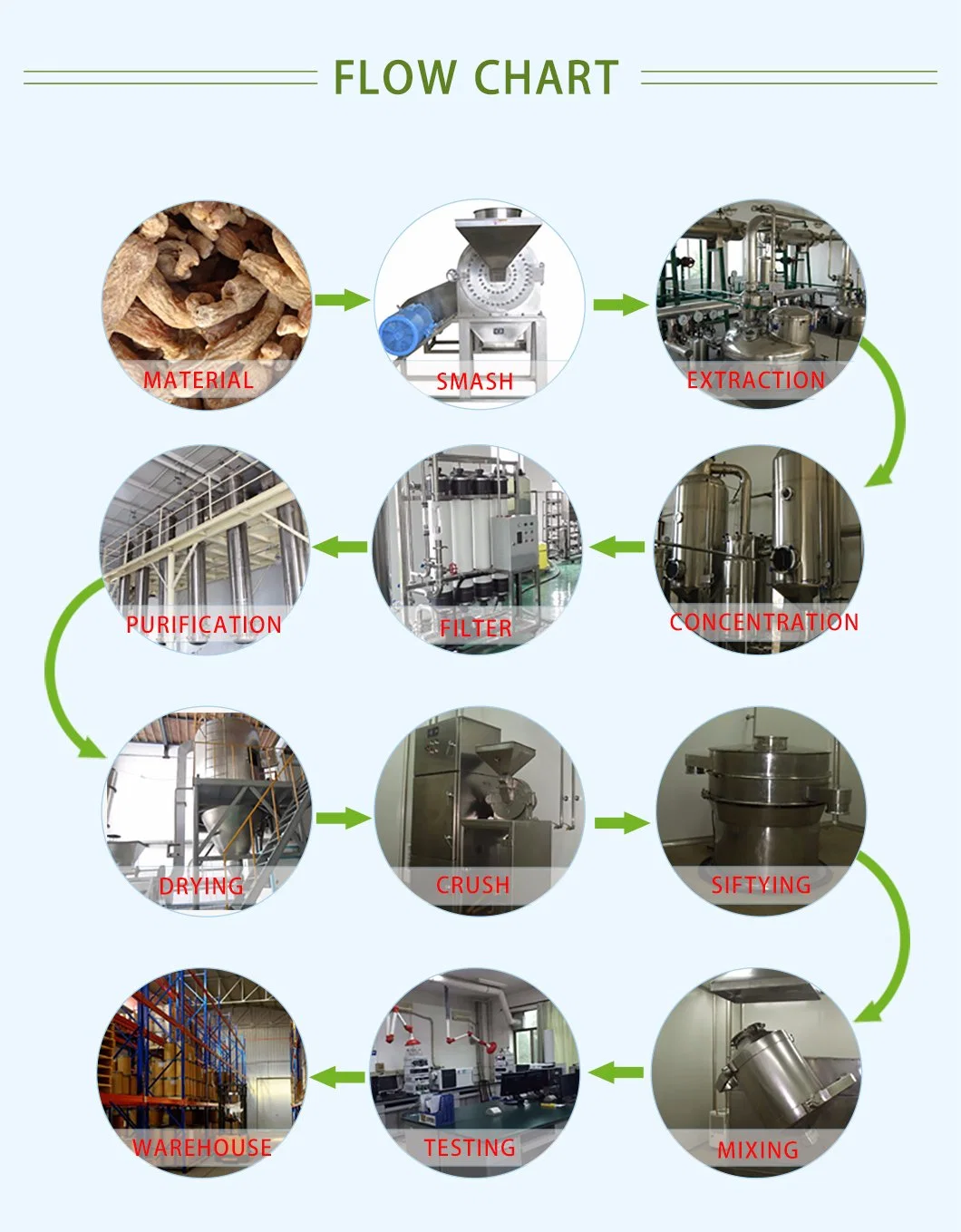 Astragalus Membranaceus Extract 0.5% HPLC 4’ -Hydroxy-3’ -Methoxyisoflavone-7-Sug