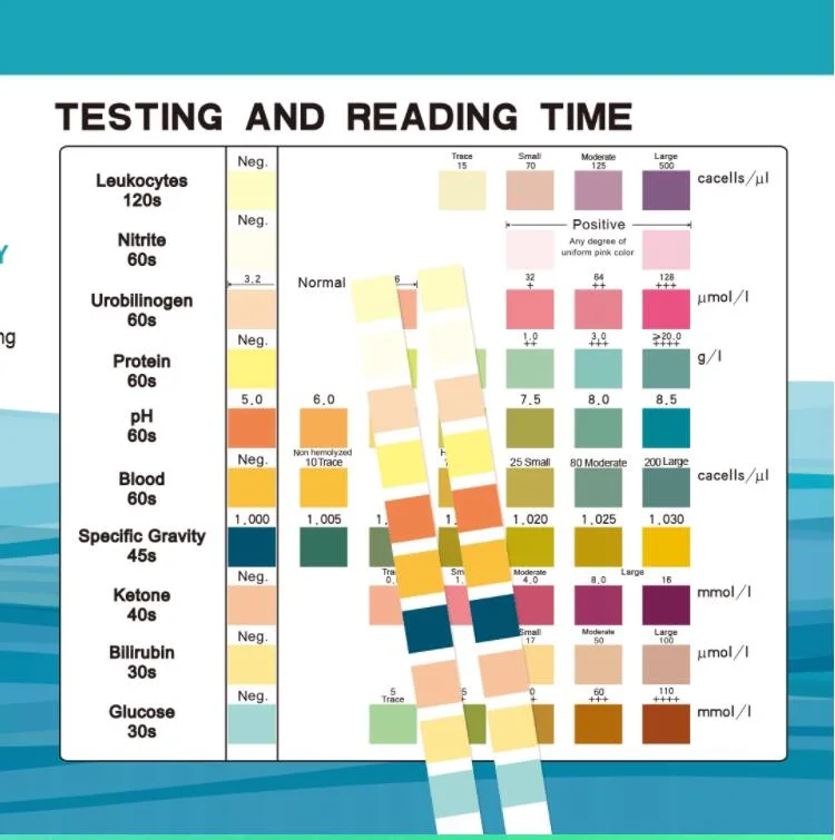 2019 Best Sell 11 Parameters Urine Test Strips, Urs-11, Blood, pH, Glucose, Ketone, Protein, Nitrite
