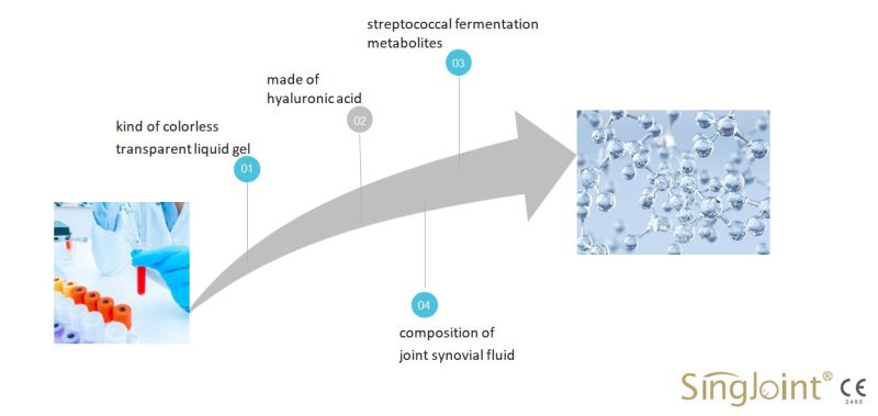 Hyaluronate Acid Medical Injection for Protect Articular Cartilage