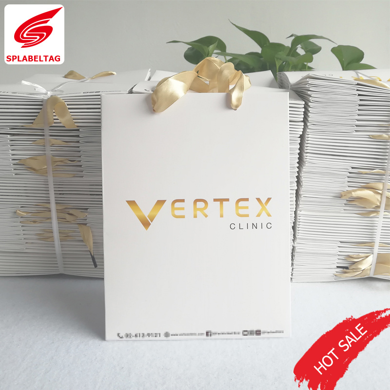 Promotion Gift Paper Bag, Paper Shopping Bag, Printed Paper Bag