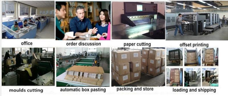 Luxury Custom Matte Laminated Gift Packaging Cosmetic Paper Bag