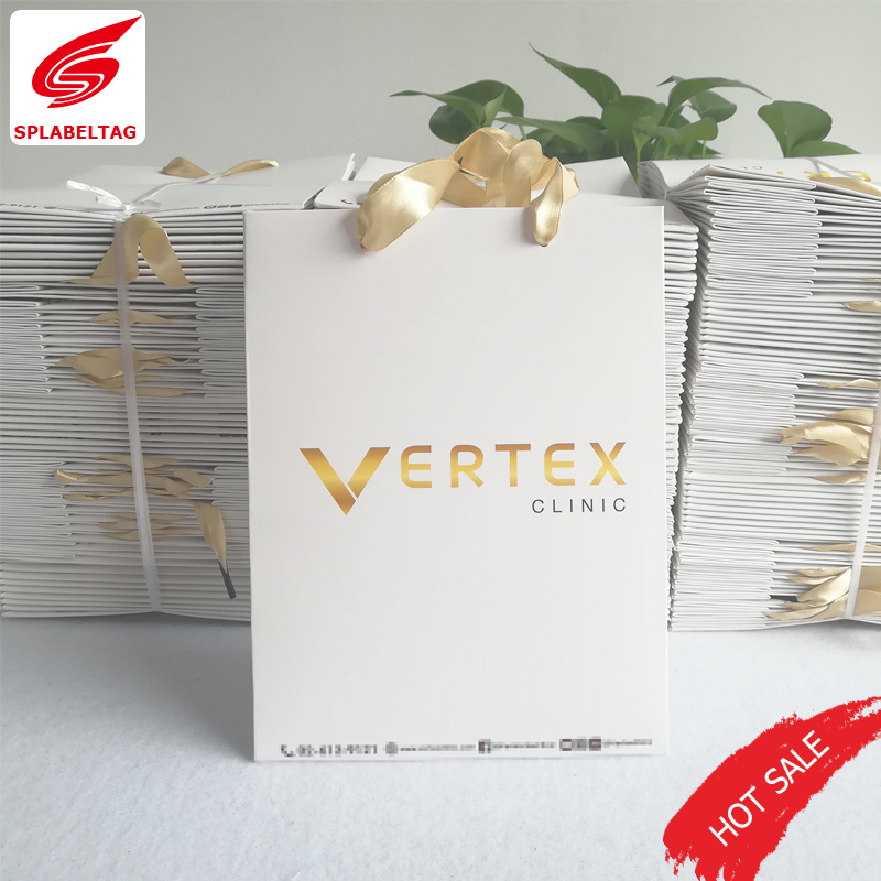 Promotion Gift Paper Bag, Paper Shopping Bag, Printed Paper Bag