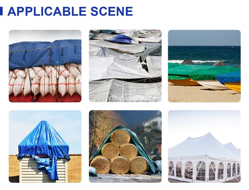 250 GSM HDPE Tarpaulin Companies PE Tarpaulin Cover Rainproof Cloth Tarpaulin Manufacturer