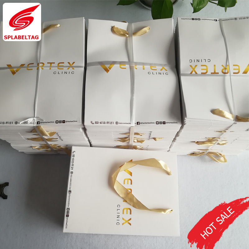 Promotion Gift Paper Bag, Paper Shopping Bag, Printed Paper Bag
