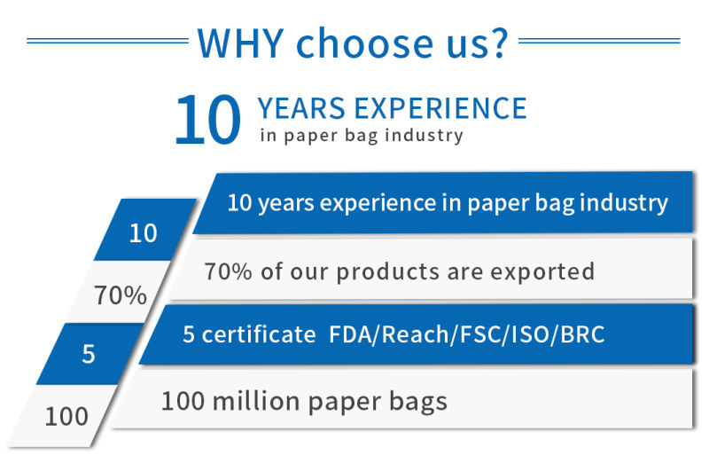 Premium High-Quality Shopping Bags for Girls