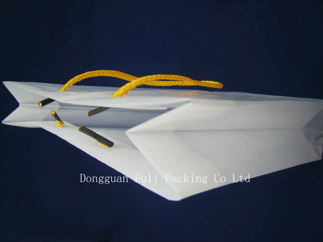 Recyclabe HDPE Frosted Color Promotional Shopping Bag with String Handle