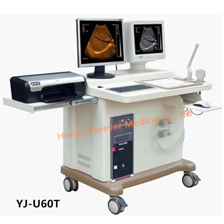 Best Choice Wholesale B/W Ultrasound Machine with Workstation (YJ-U60T)
