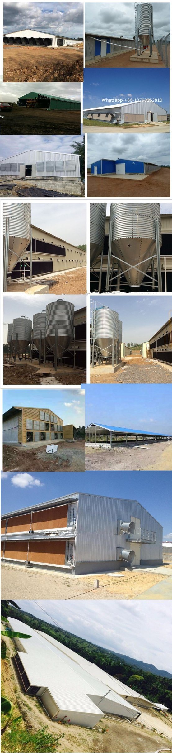 Prefab Steel Structure Poultry Housing Poultry Slaughter House Poultry Farm Construction