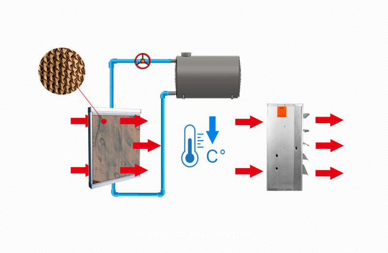 Large Industrial Poultry Ventilation Exhaust Fan Price with Shutter