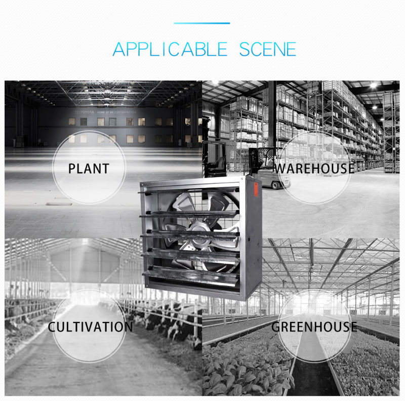 Large Industrial Poultry Ventilation Exhaust Fan Price with Shutter