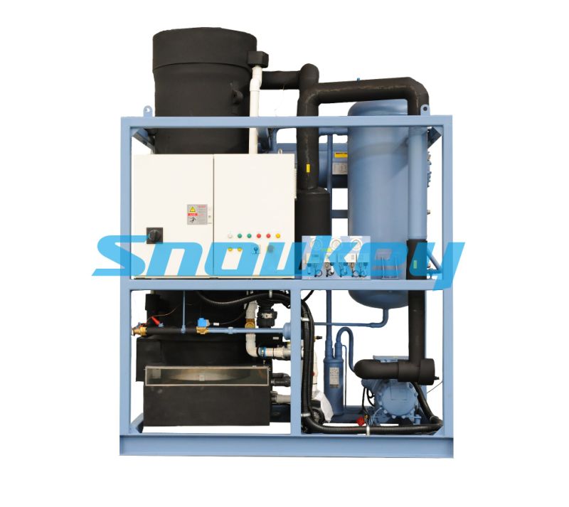 Snowkey Popular Tube Ice Machine with Packing Device (5Tons/Day)