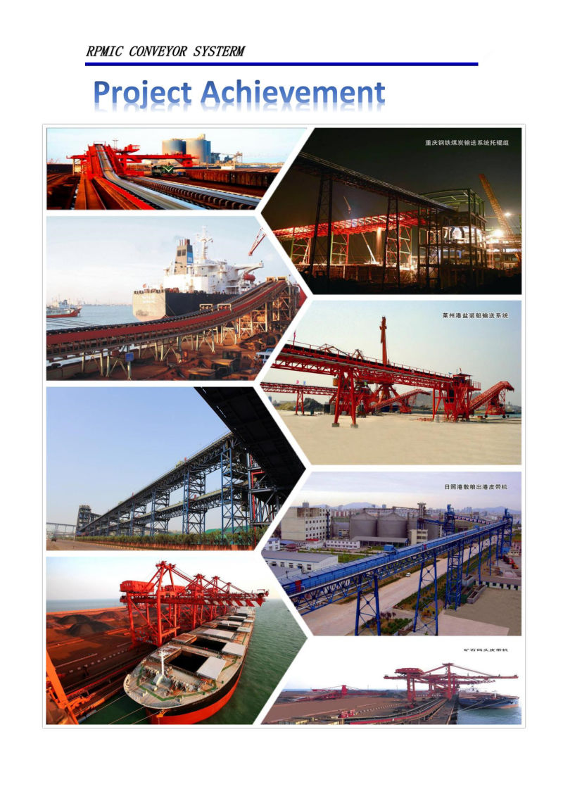 JIS Standard Carrying Roller for Grain Transport with Long Life-Span