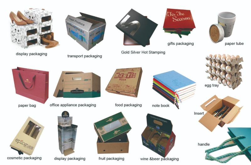 Wax Immersed Corrugated Paper Carton Box for Packing