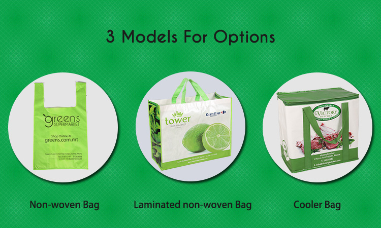 Reusable Non-Woven Laminated Shopping Trolley Bags Cooler Bag