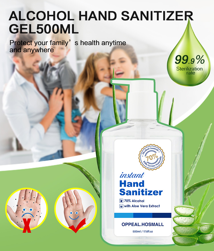 OEM&ODM Large Size 70% Alcohol Hand Sanitizer Wholesale 500ml Hand Sanitzer Gel